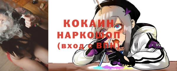 Альфа ПВП Горняк