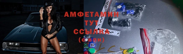 Альфа ПВП Горняк
