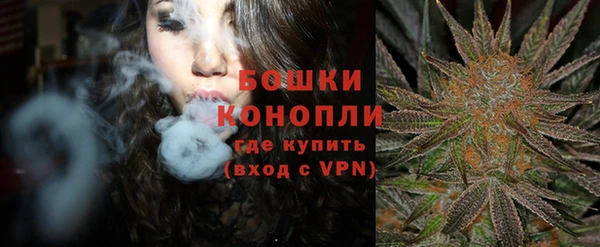 Альфа ПВП Горняк