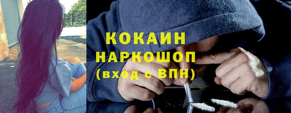 Альфа ПВП Горняк