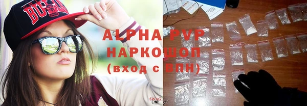 индика Вяземский