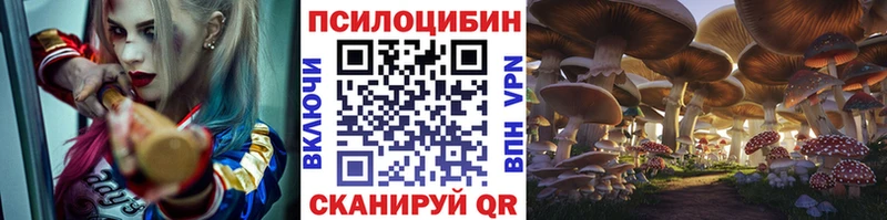 Псилоцибиновые грибы Cubensis  Радужный 